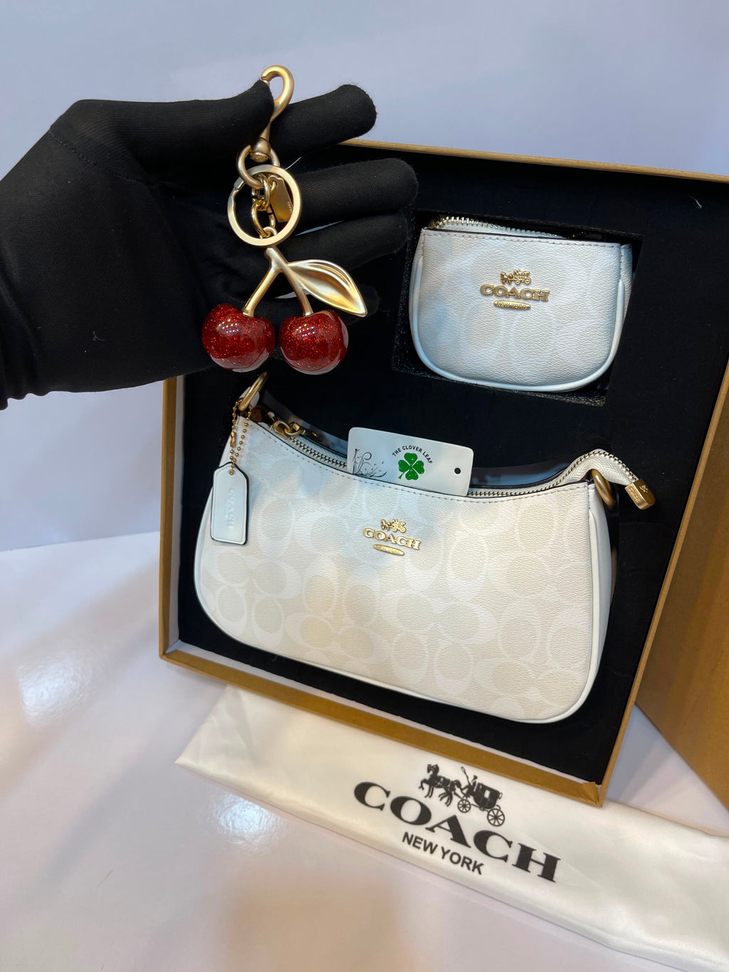 Coach Nolita Shoulder Bag Gift Set