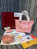 Coach Mollie Mini Tote