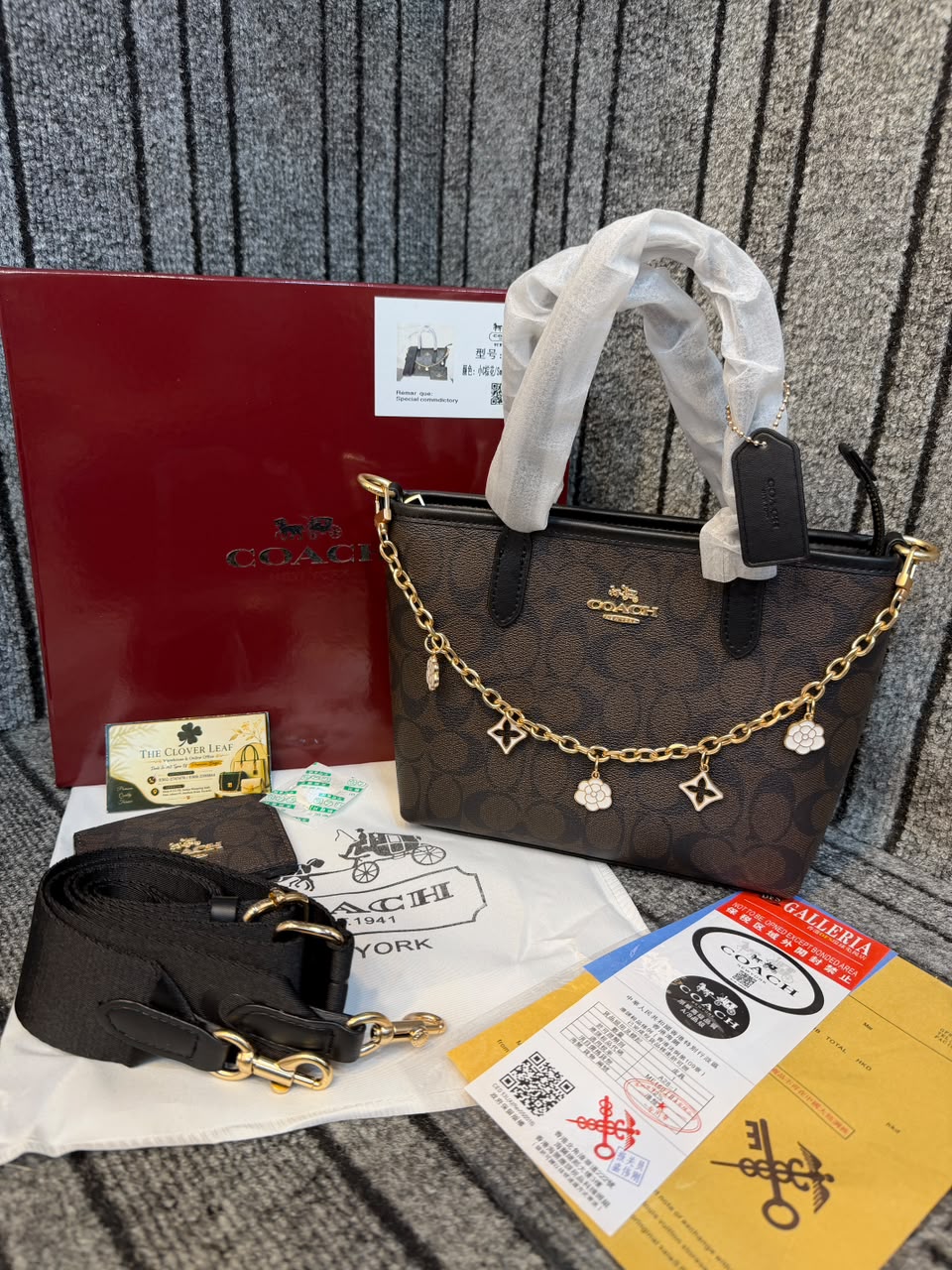Coach Mollie Mini Tote