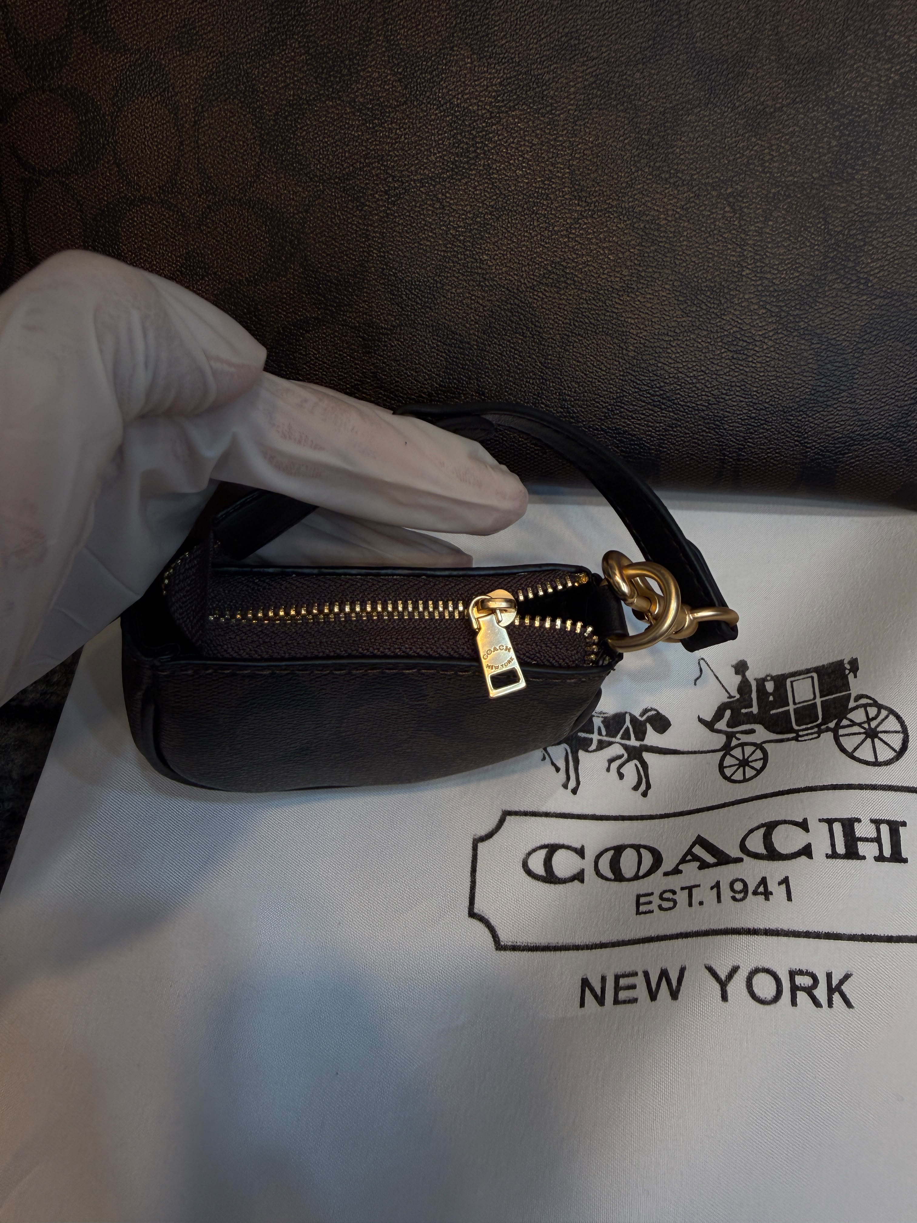 Coach Fiona Zip Tote Bag in Signature Canvas