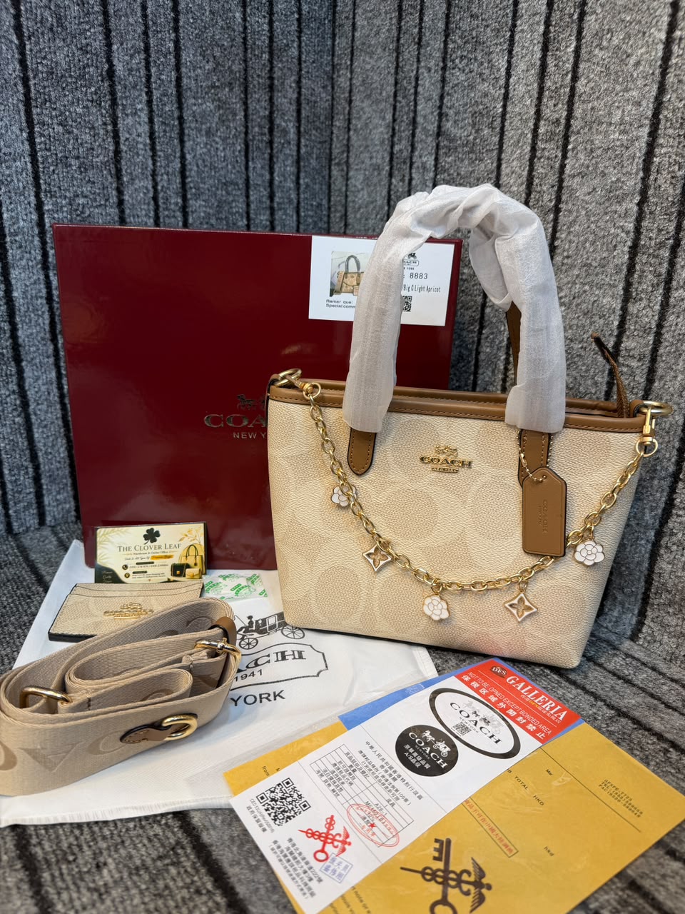 Coach Mollie Mini Tote