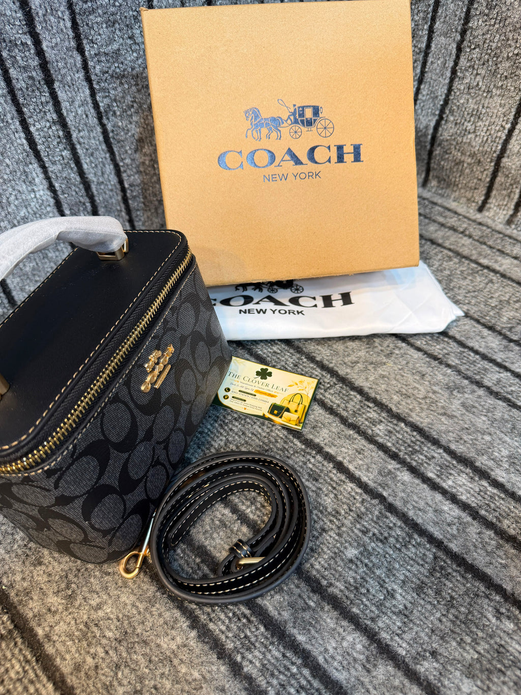 Coach Vanity Mini Bag