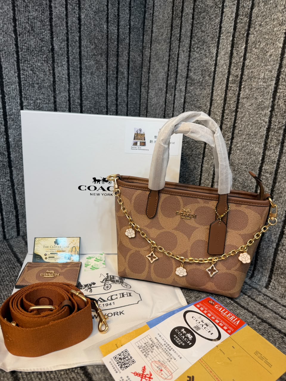 Coach Mollie Mini Tote