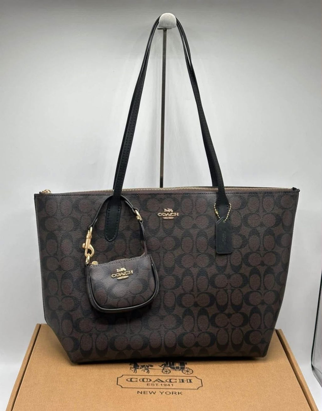 Coach Fiona Zip Tote Bag in Signature Canvas