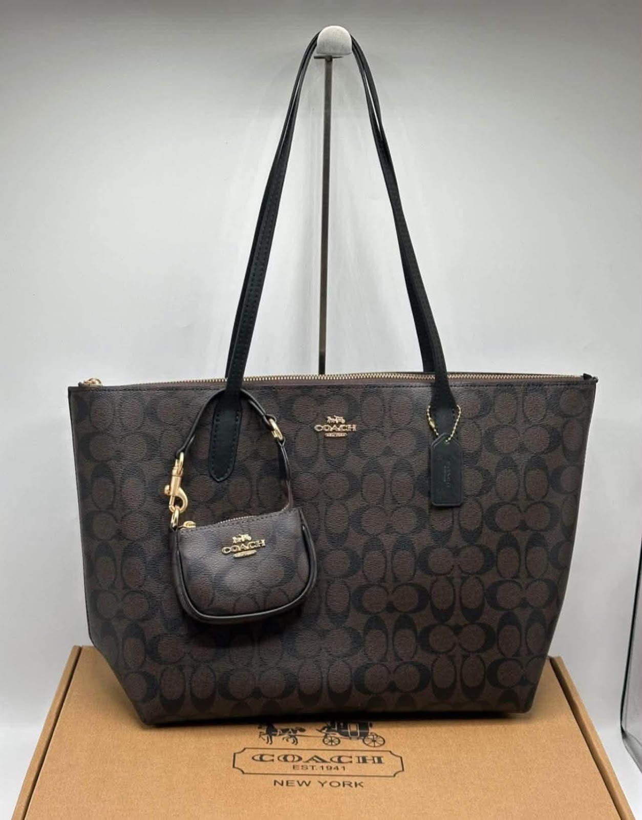 Coach Fiona Zip Tote Bag in Signature Canvas