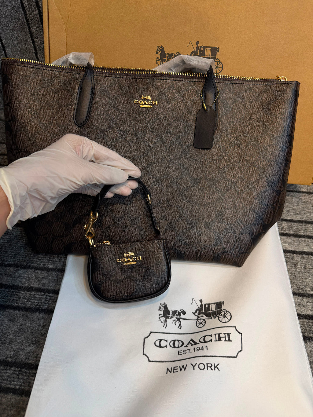 Coach Fiona Zip Tote Bag in Signature Canvas