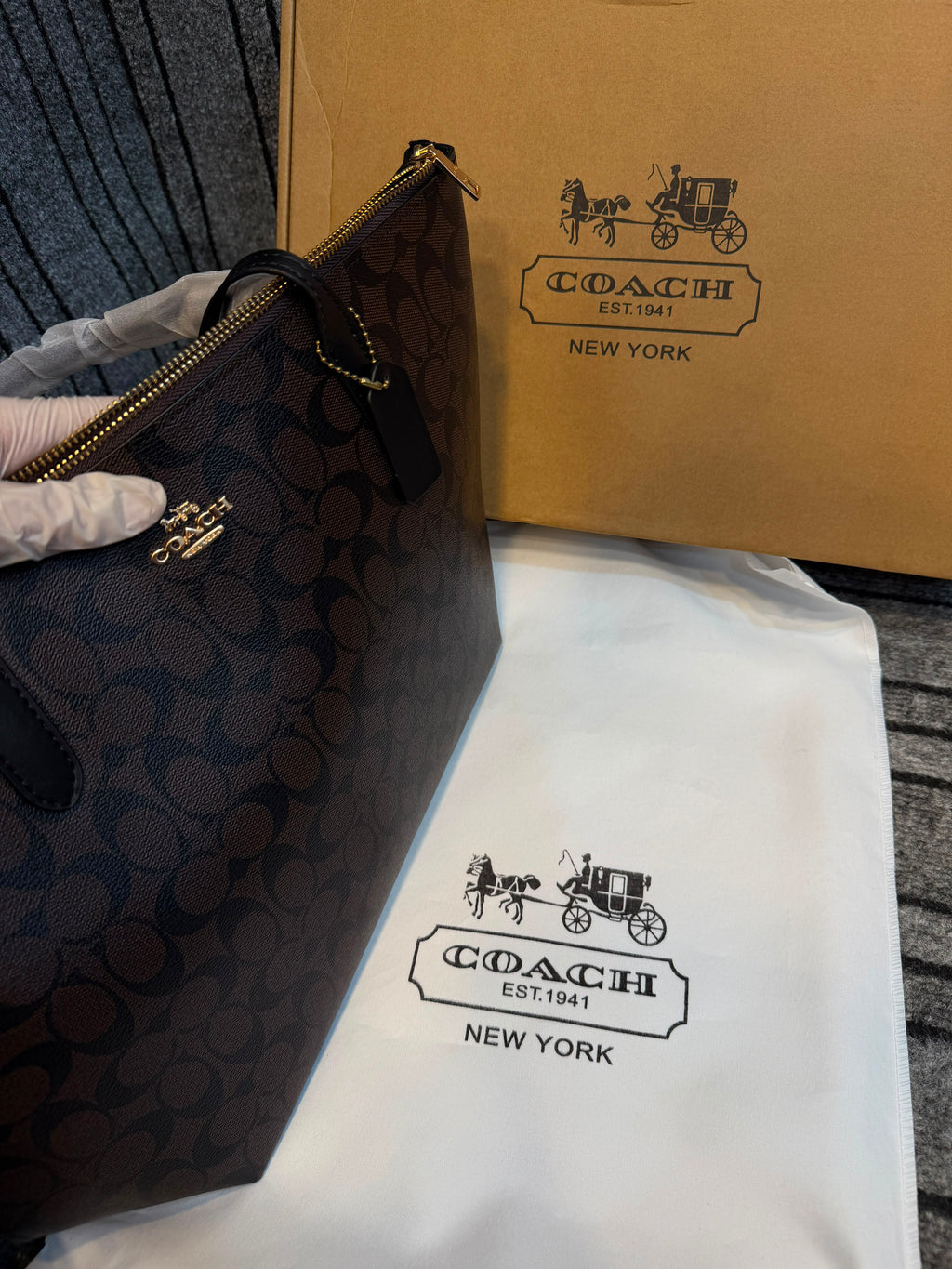 Coach Fiona Zip Tote Bag in Signature Canvas