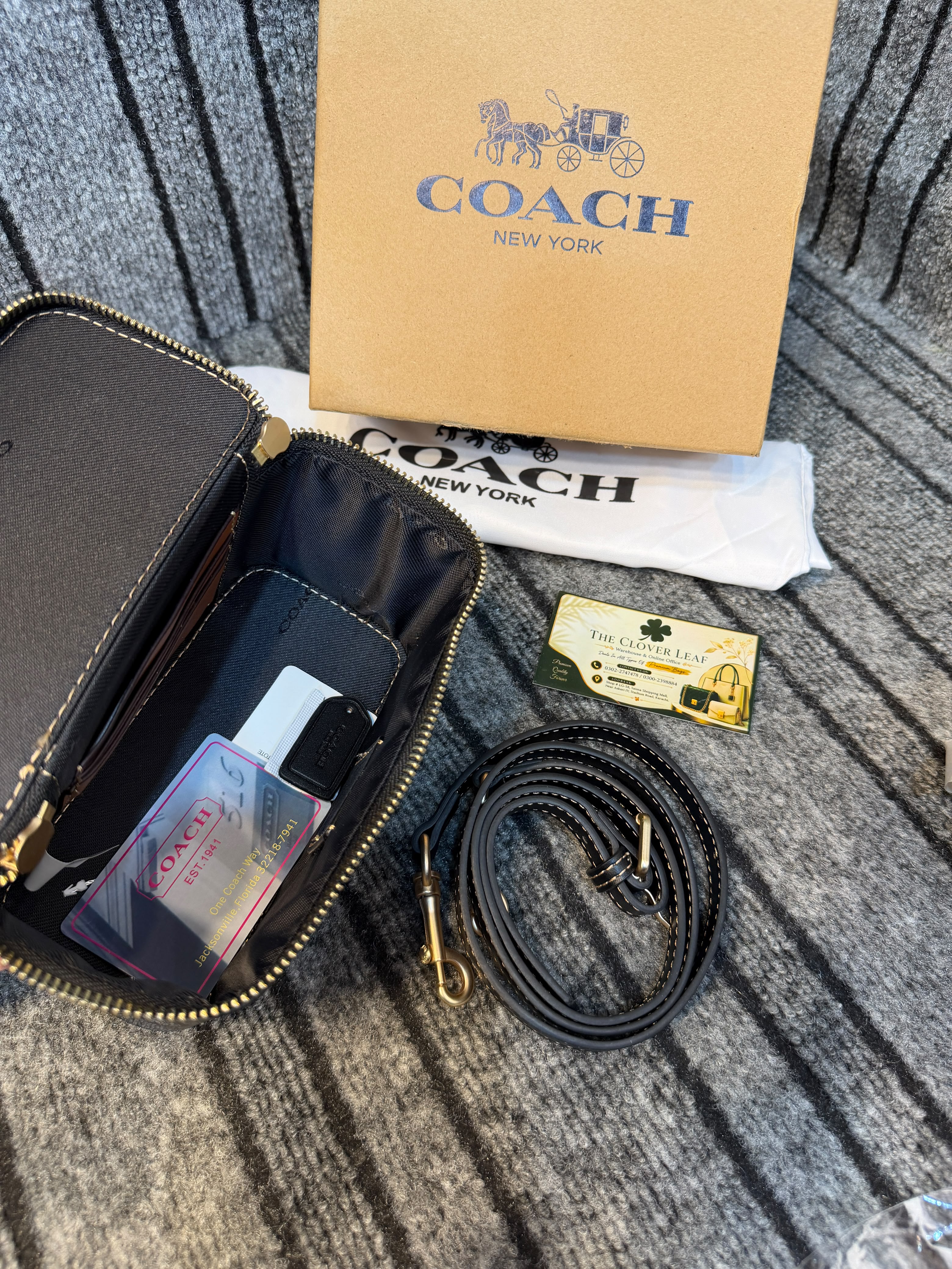 Coach Vanity Mini Bag