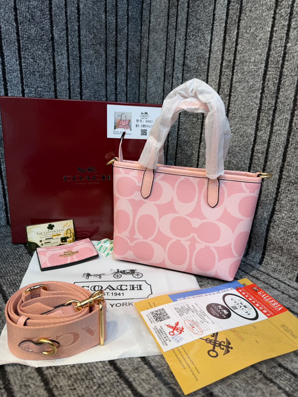 Coach Mollie Mini Tote