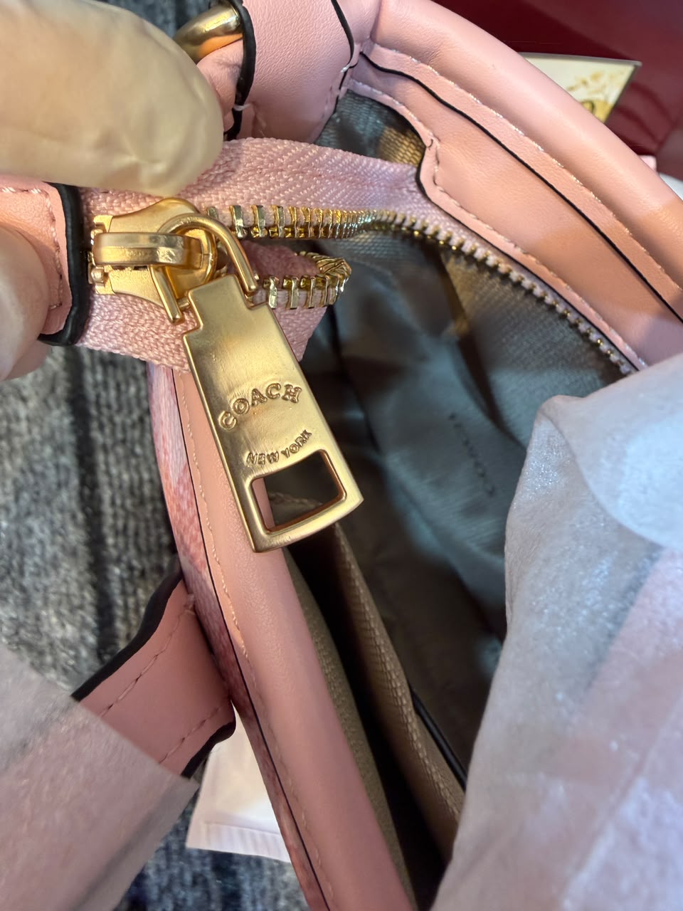 Coach Mollie Mini Tote
