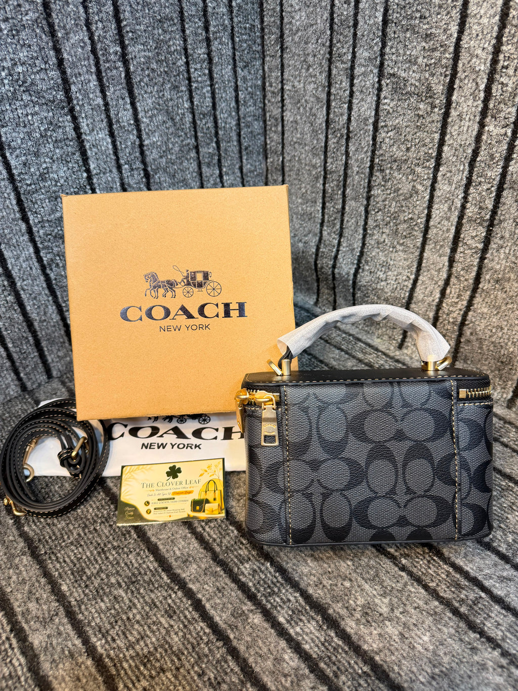 Coach Vanity Mini Bag